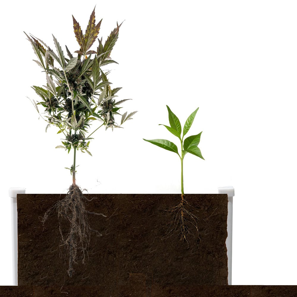 Raised Garden Bed for Flowers – Outdoor Planter Box for Flowers, Herbs & Plants